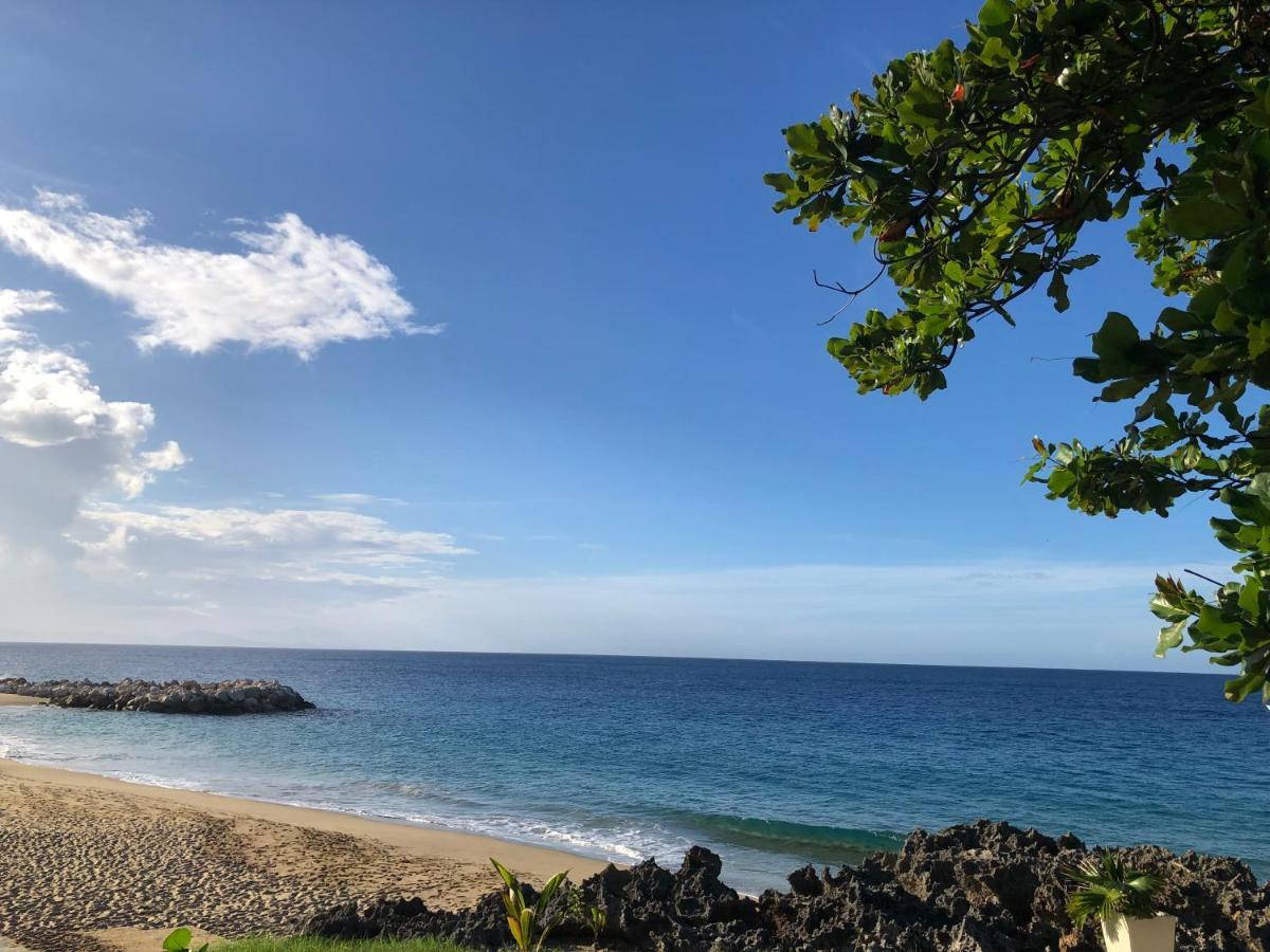 Comfortable Apartment In Caribbean Paradise Sosua Luaran gambar